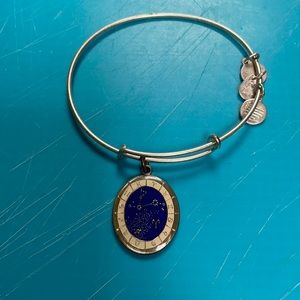 Alex and Ani Aries bracelet